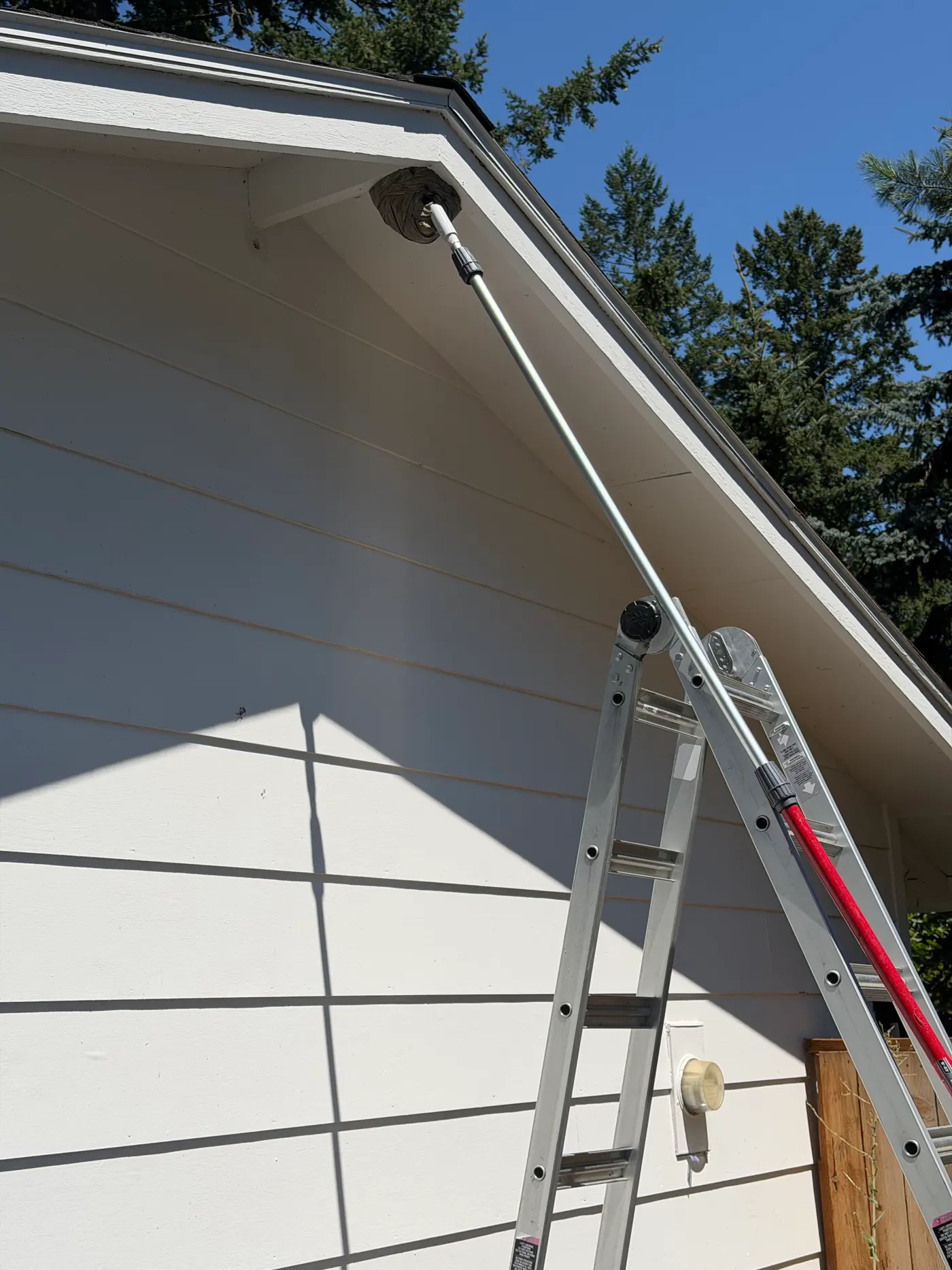 Extension pole reaching a gray paper wasp nest tucked under the eave of a white house during a Portland, Oregon wasp nest removal